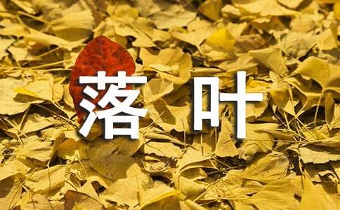 一片落叶的故事作文-小麦知识