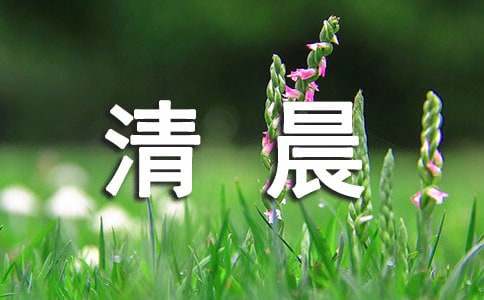 清晨作文-小麦知识