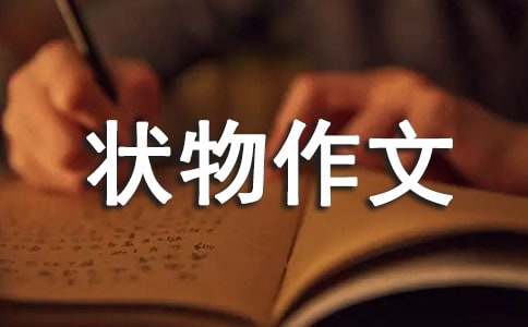 状物作文400字-小麦知识