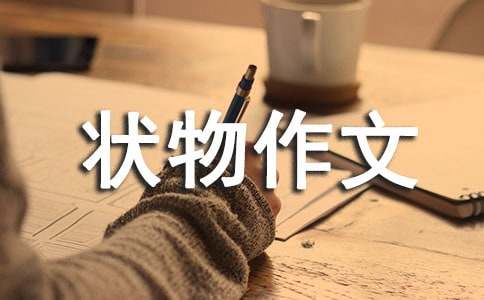 状物作文300字-小麦知识