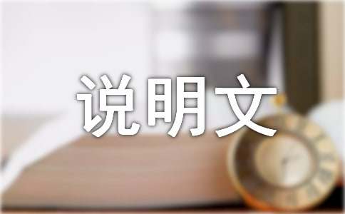 笔的说明文作文300字-小麦知识