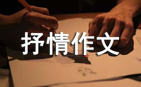 抒情作文300字-小麦知识