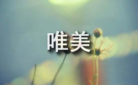 好词好句唯美-小麦知识