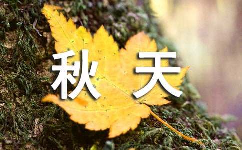 秋天的比喻句-小麦知识