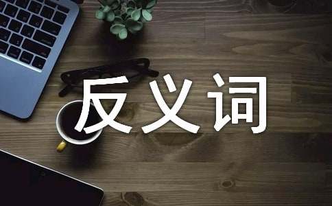 意志消沉的反义词-小麦知识