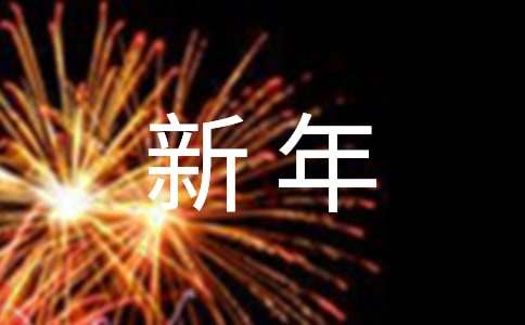 新年计划作文-小麦知识
