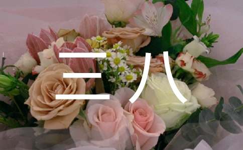 三八作文-小麦知识