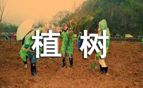 植树作文400字-小麦知识
