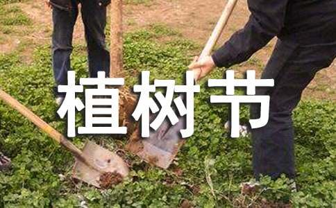植树节的作文-小麦知识