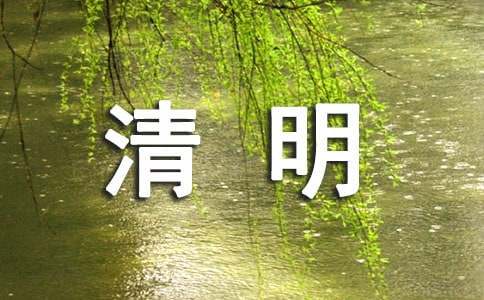 清明做茶作文-小麦知识