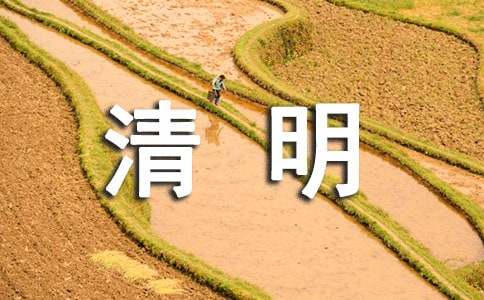清明节的作文-小麦知识