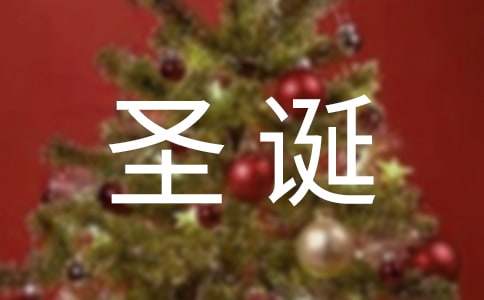 圣诞派对作文-小麦知识