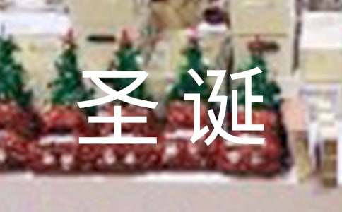 圣诞礼物的作文300字-小麦知识