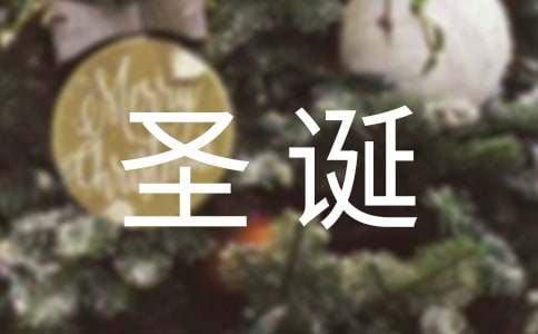 圣诞晚会作文-小麦知识