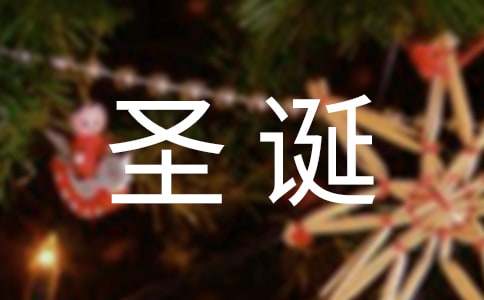 圣诞派对作文400字-小麦知识