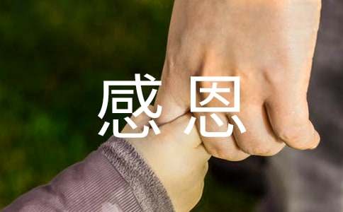 感恩的父母作文-小麦知识