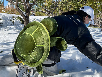 滑雪护具好用还是小乌龟好用 滑雪小乌龟可以替代护具吗-小麦知识