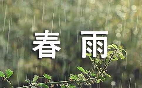 春雨舞动作文-小麦知识