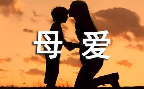 母爱作文-小麦知识