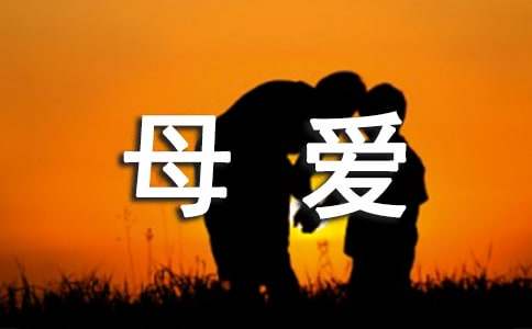 无私的母爱作文-小麦知识