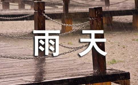雨天作文-小麦知识