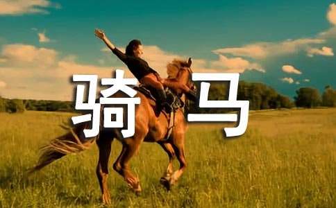 骑马小学作文-小麦知识