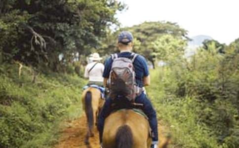 骑马作文300字-小麦知识