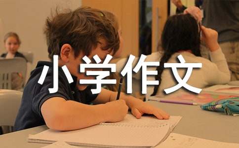 寒假的小学作文300字-小麦知识