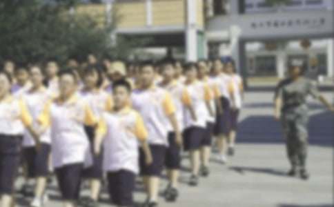 夏令营的作文300字-小麦知识