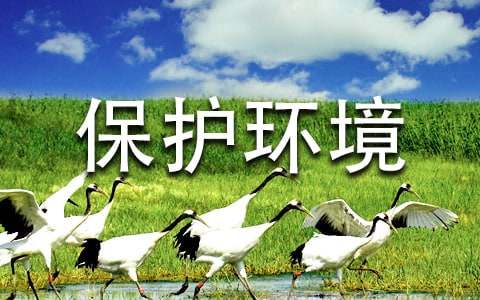 保护环境卫生的作文-小麦知识