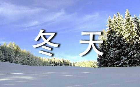 我爱冬天作文300字-小麦知识