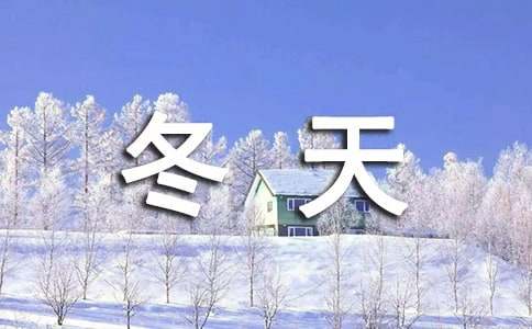 没有雪的冬天作文-小麦知识