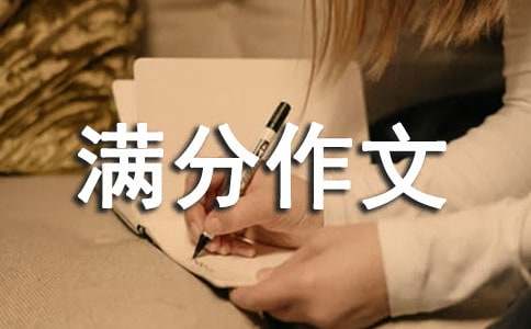 满分作文 夜的思考-小麦知识