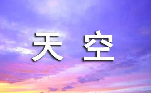 梦想天空作文-小麦知识