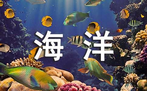 海洋作文300字-小麦知识