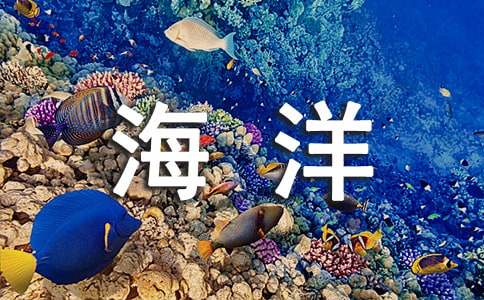 海洋作文400字-小麦知识
