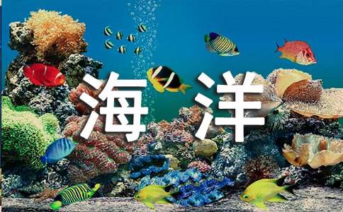 海洋作文-小麦知识