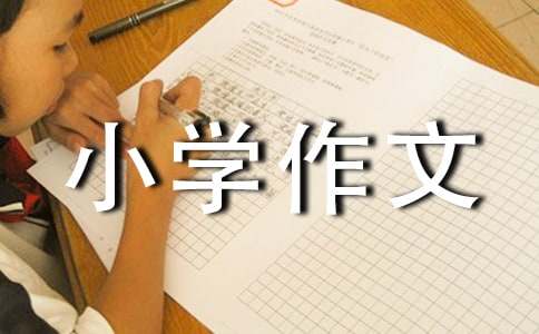 观日全食小学作文-小麦知识