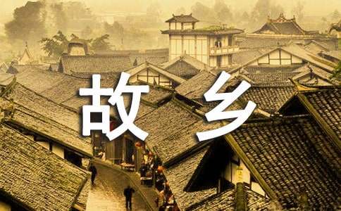 故乡美作文-小麦知识