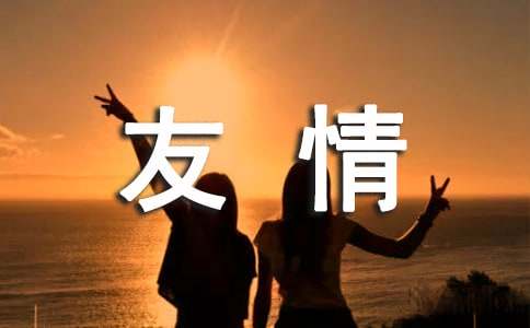 友情的作文300字-小麦知识