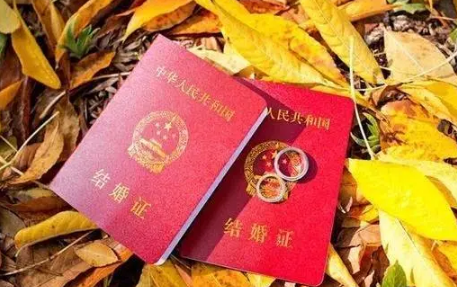2023年2月14日情人节可以领结婚证吗 领证当天有哪些要点-小麦知识