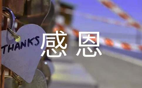 感恩的作文300字-小麦知识