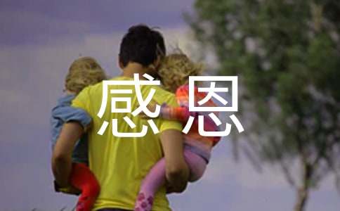 感恩作文300字-小麦知识