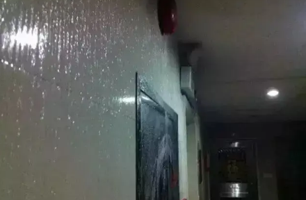 福建回南天比广东严重吗 福建回南天是什么时候-小麦知识
