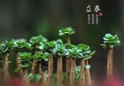 2023立春迎春可以在娘家吗 立春不能回娘家是迷信吗-小麦知识
