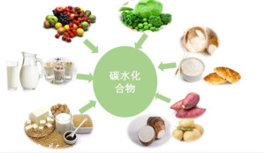碳水化合物为什么让人无法接受-小麦知识