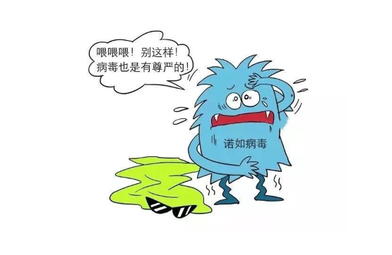诺如病毒会传染给大人吗 诺如病毒会传染给宠物吗-小麦知识