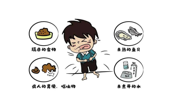 诺如病毒会传染给大人吗 诺如病毒会传染给宠物吗-小麦知识