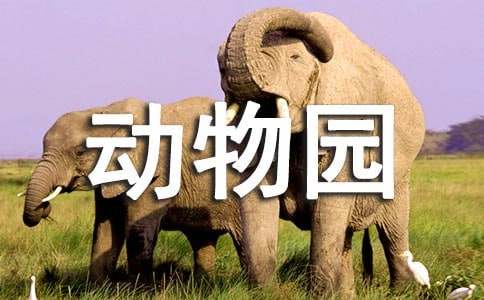 长沙动物园作文-小麦知识