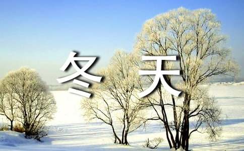 西湖的冬天作文-小麦知识